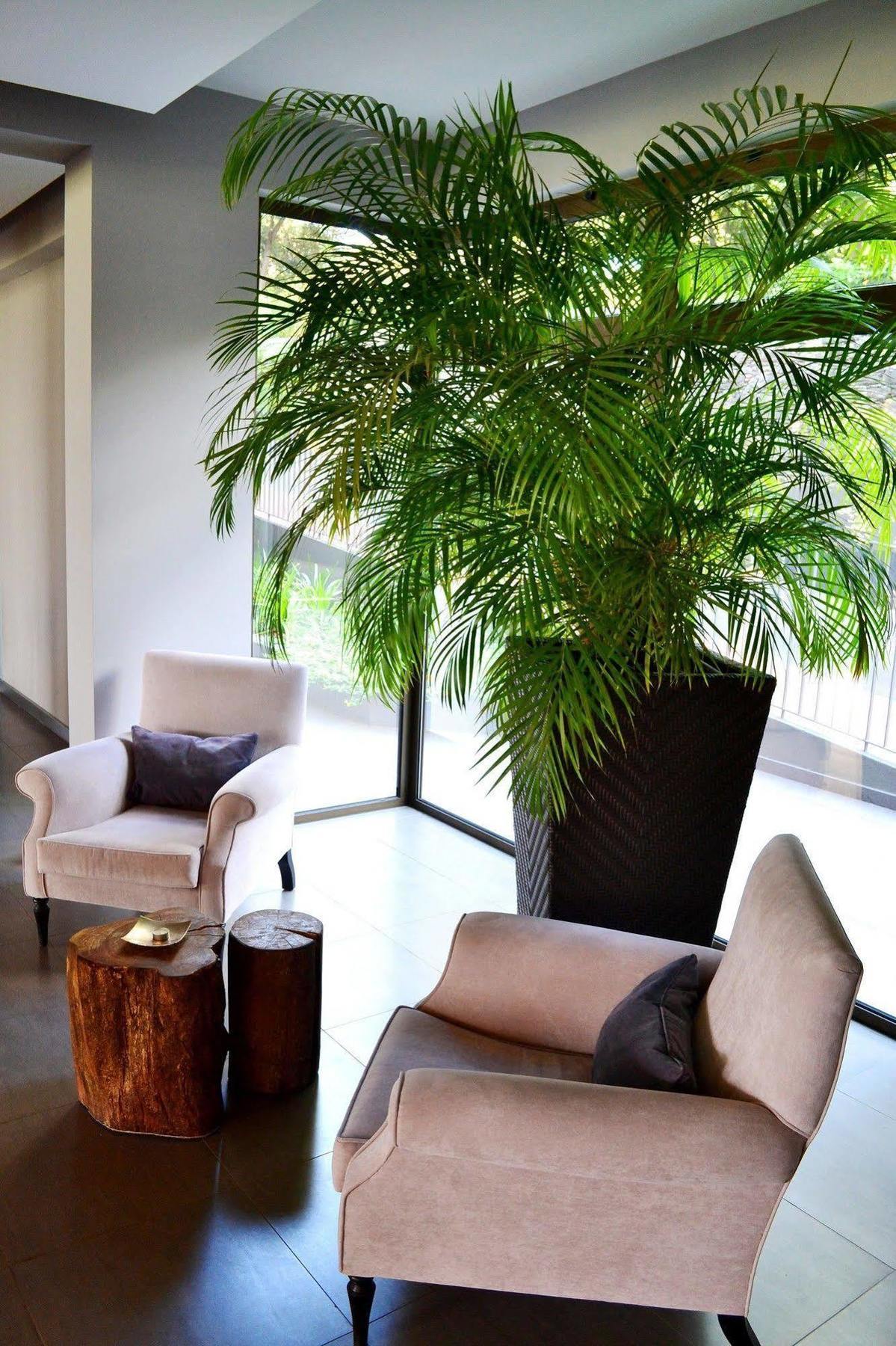 Hotel Enotel Magnólia