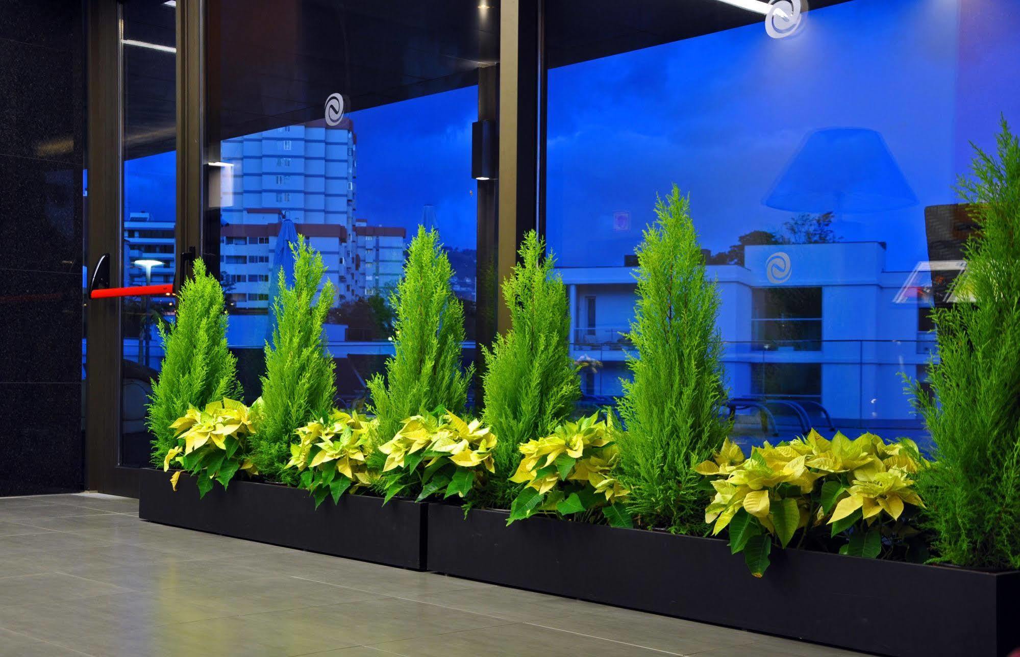 Enotel Magnólia Hotel 4*